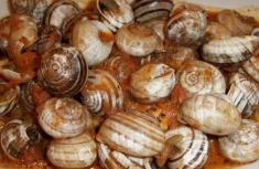 Ricetta - Lumache alla Romana